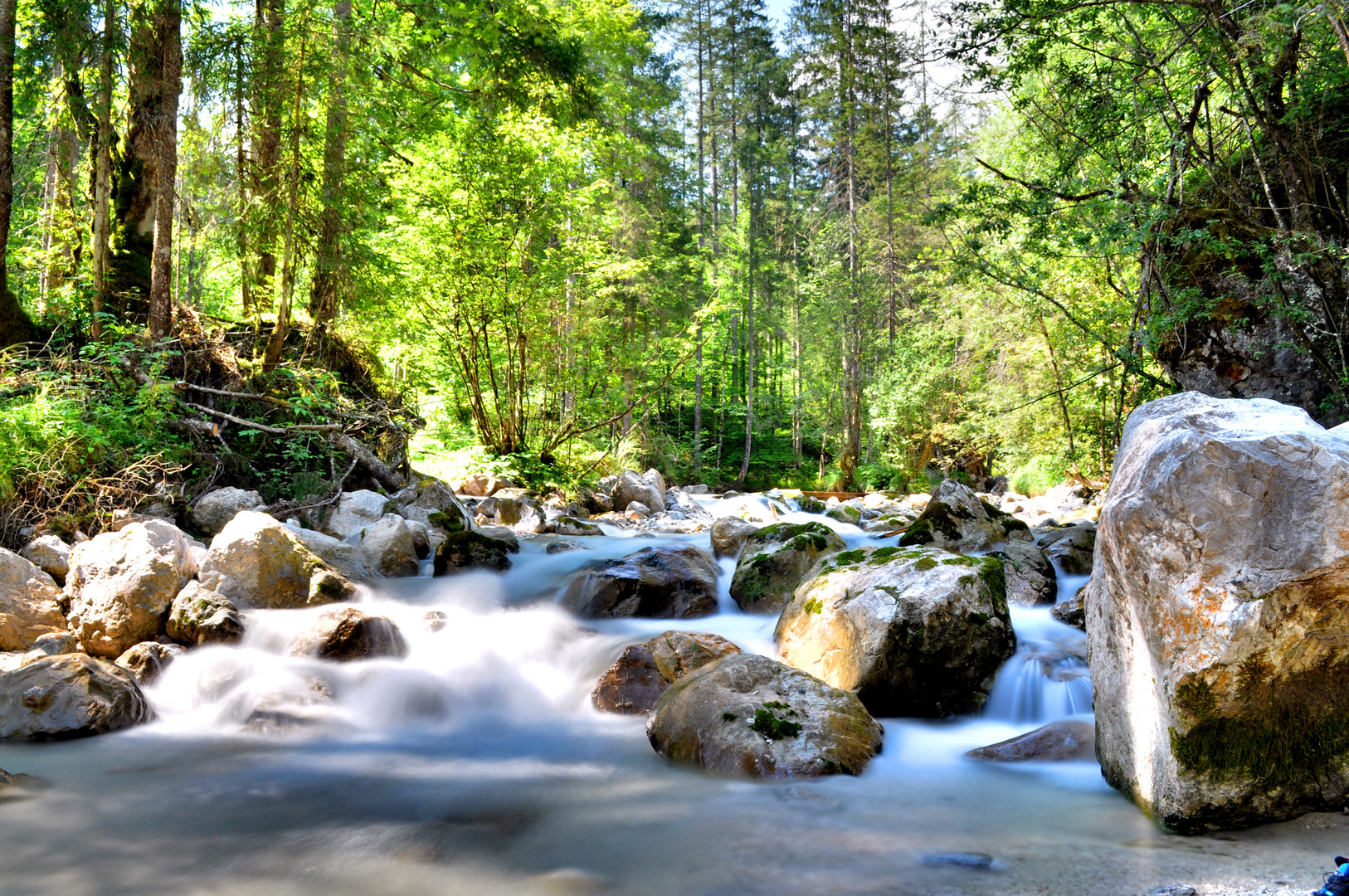 Wildbach im Zauberwald