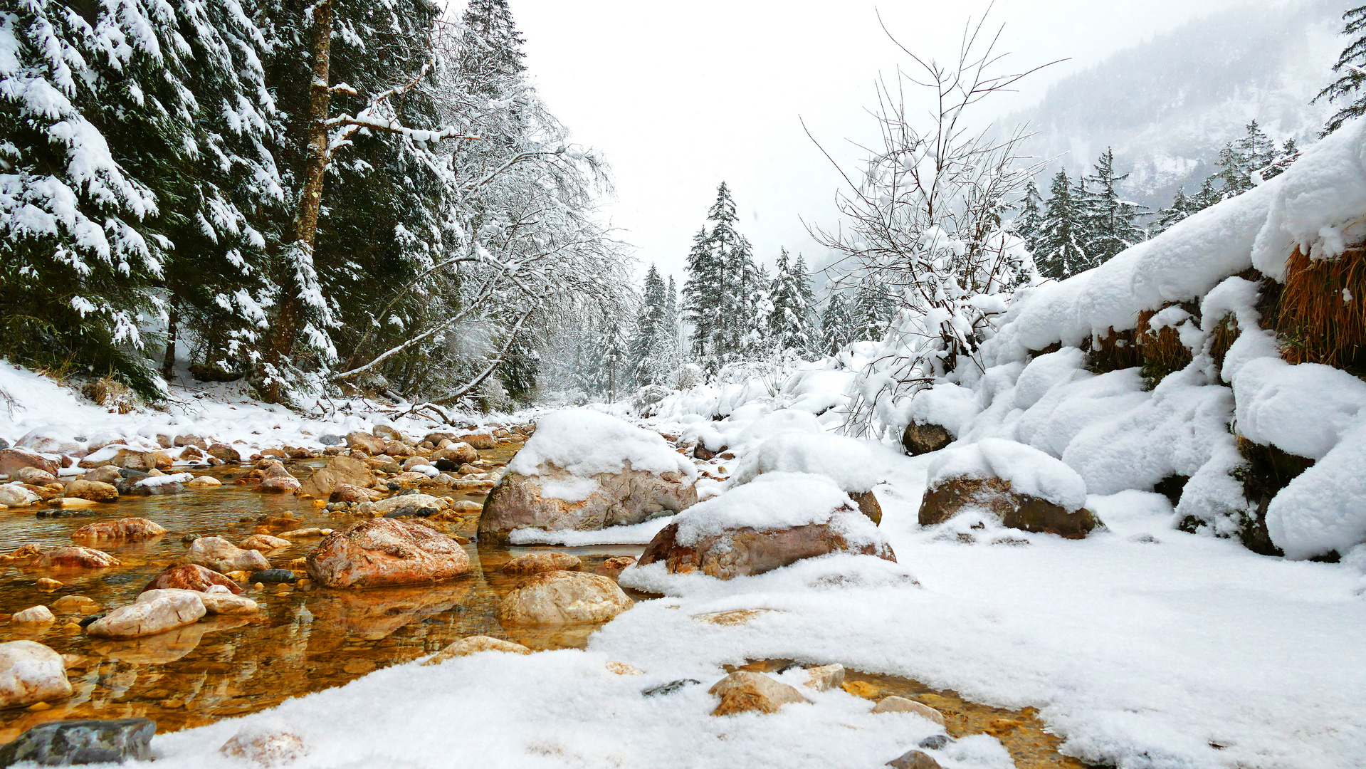 Wildbach in Bernsteinfarbe