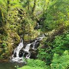 Wildbach in der Nähe der Cinque Terre 