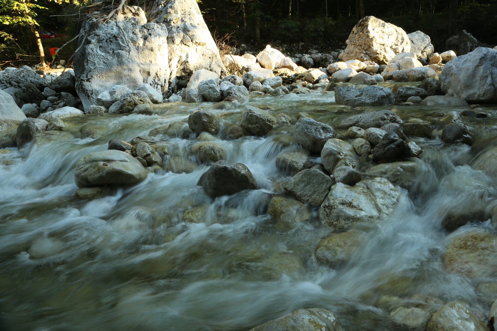 Wildbach- Krippenstein/ Österreich