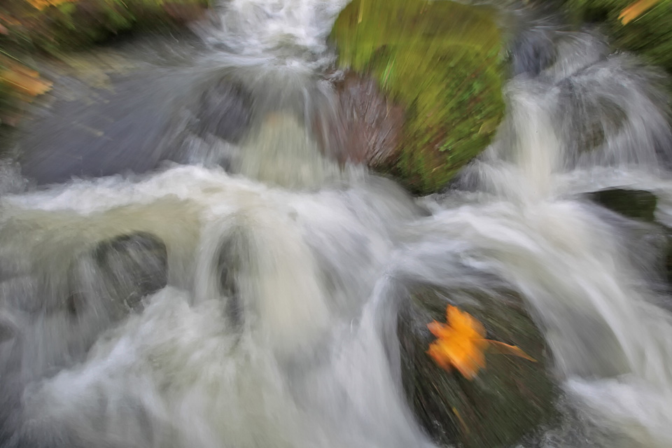 Wildbach künstlerisch