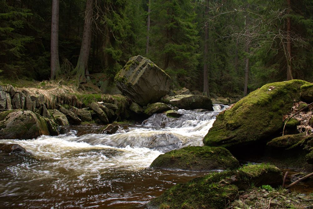 Wildbach oder Fluss