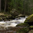 Wildbach oder Fluss