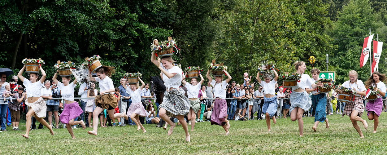 Wildberger Schäferlauf