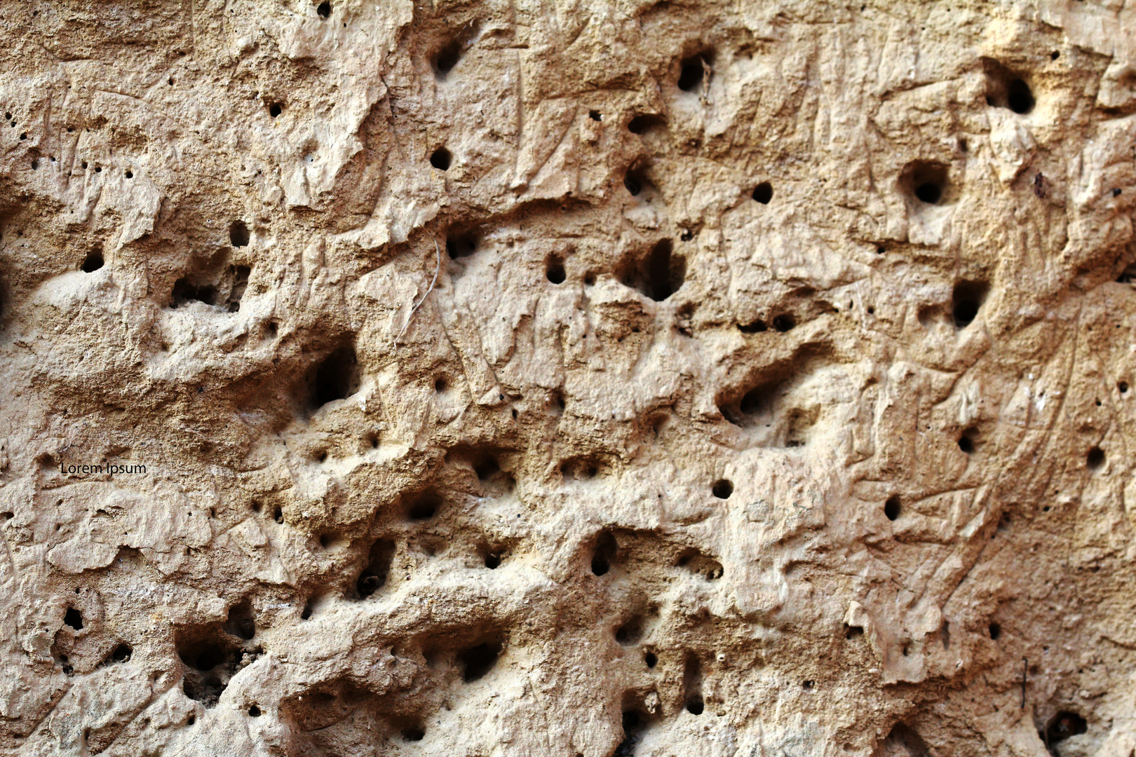 Wildbienenbehausungen Iin  der Rennweghohle