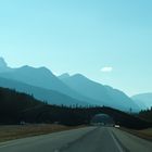 Wildbrücke bei Banff