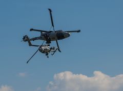 Wildcat Display Team I