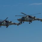 Wildcat Display Team II