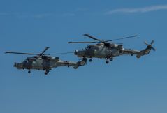 Wildcat Display Team II