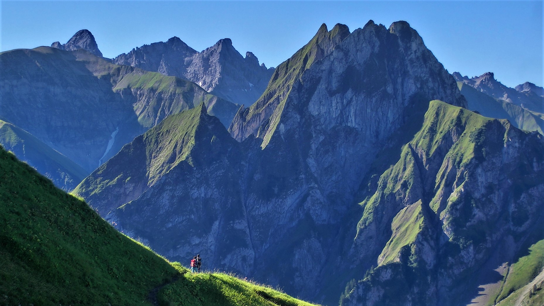 Wilde Allgäuer