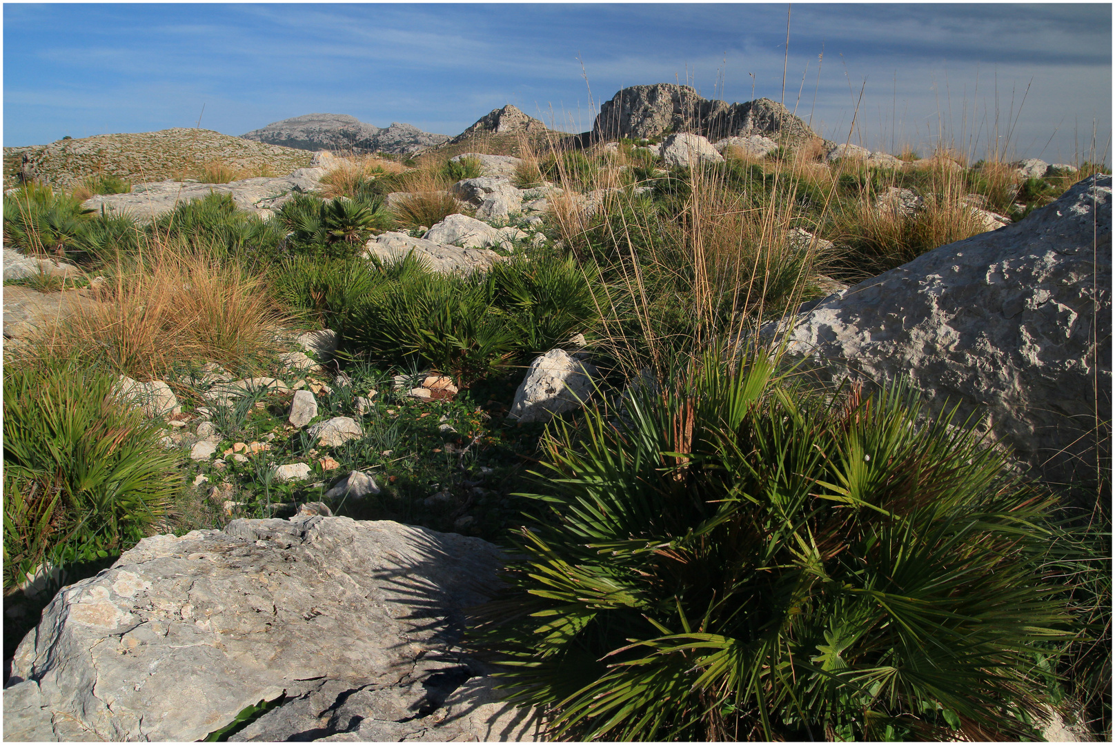  wilde Berge 