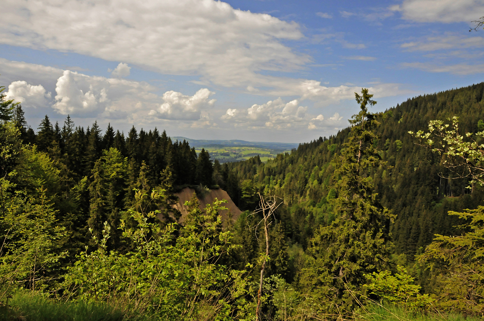 Wilde Berglandschaft am Buchenberg