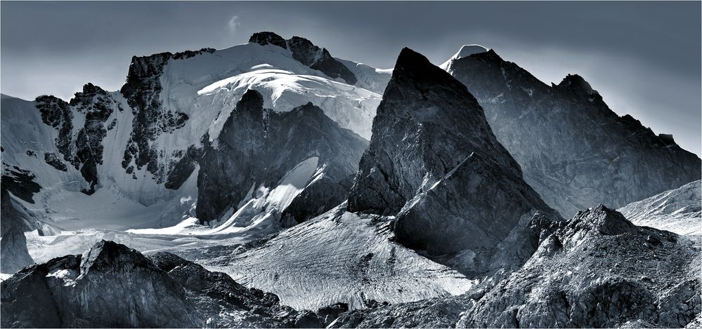 WILDE BERNINA