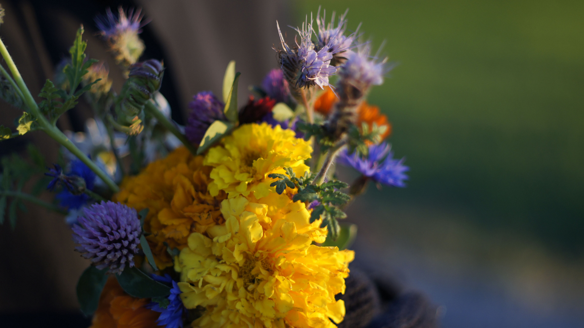 wilde Blumen