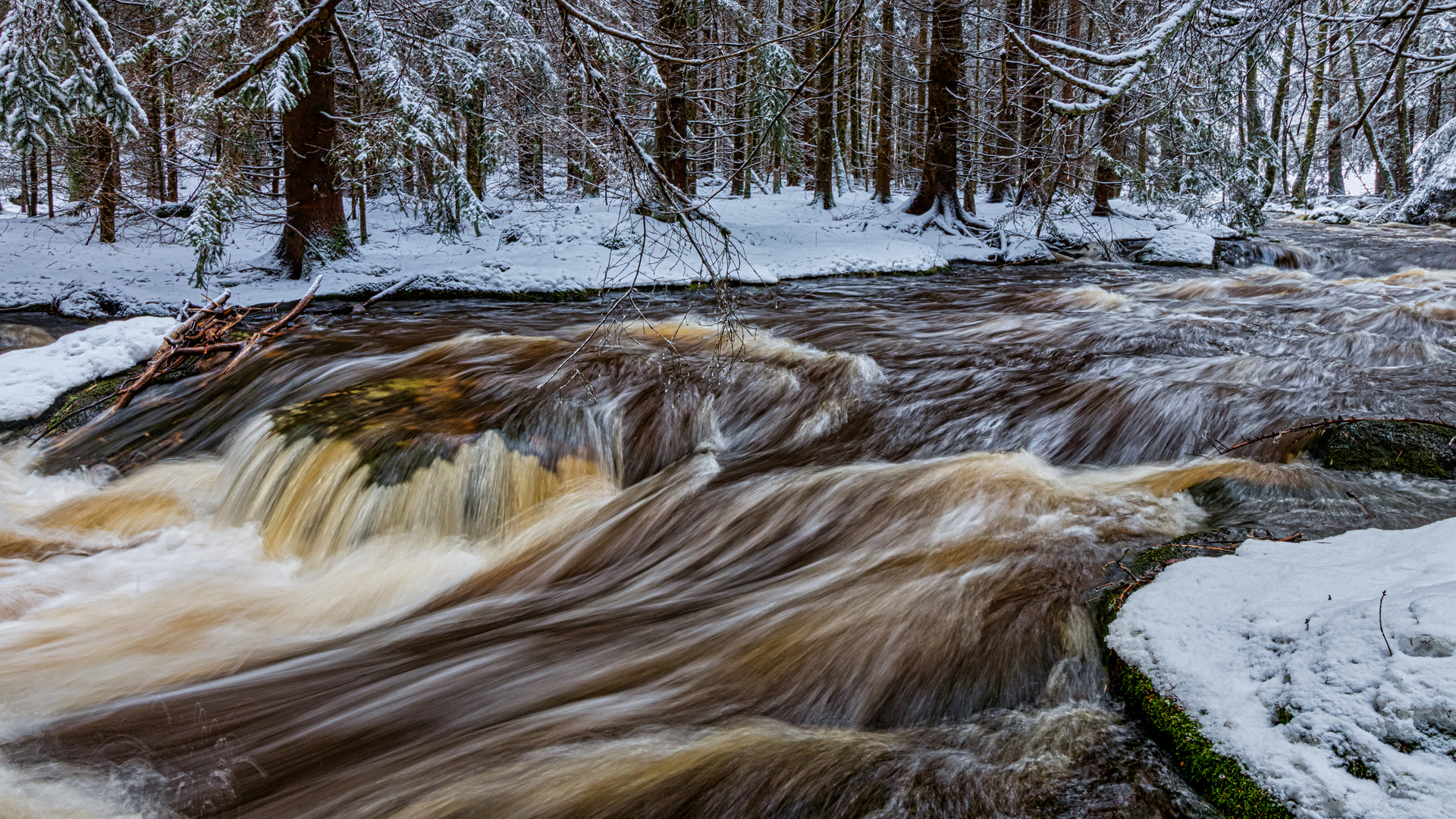 Wilde Eger im Winter.