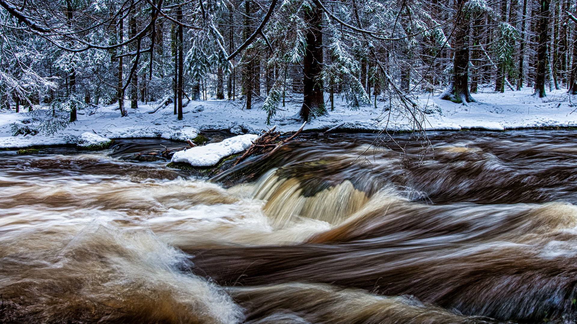 Wilde Eger im Winter.