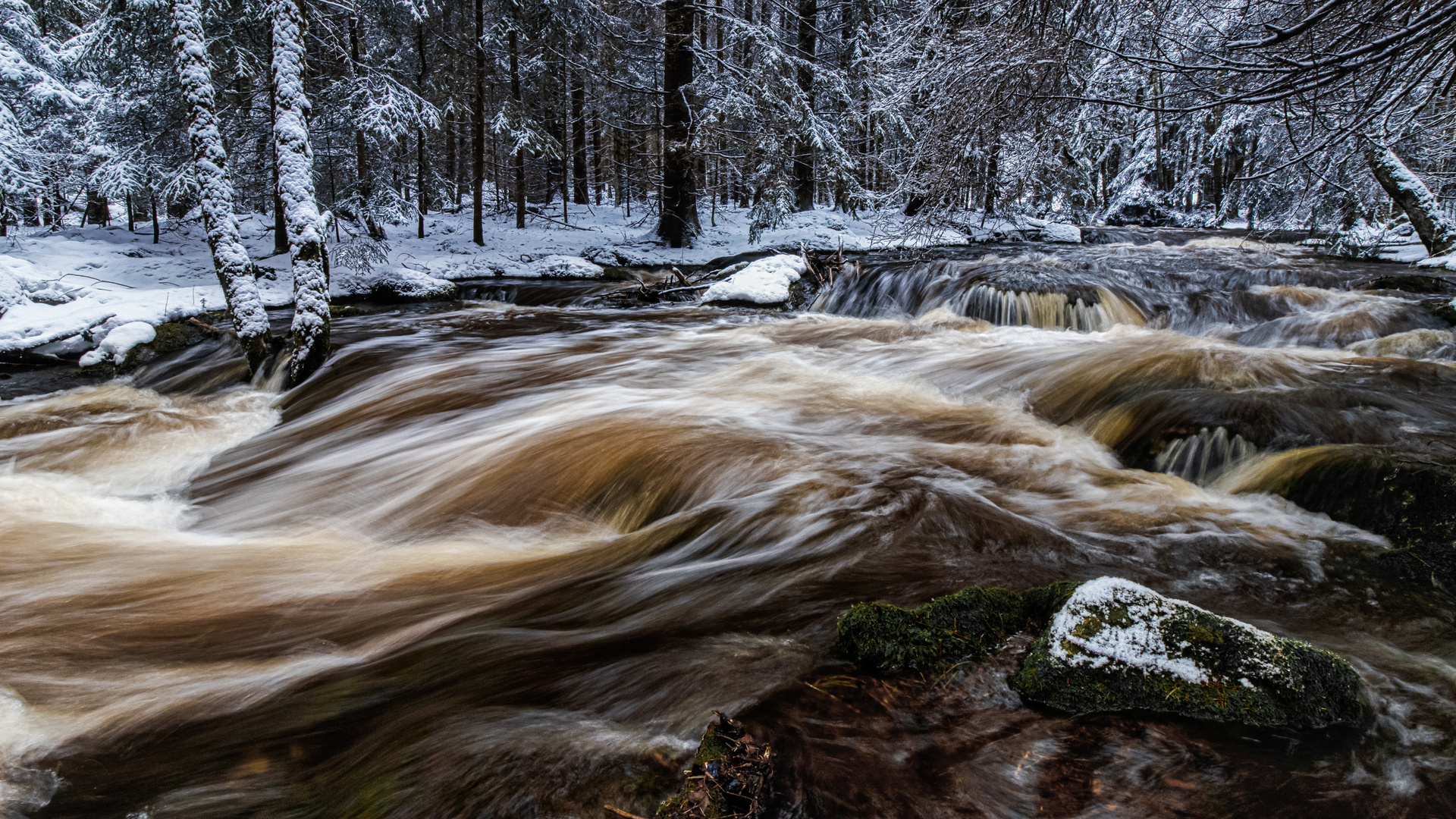 Wilde Eger im Winter