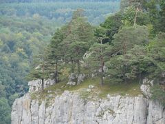 Wilde Felsabbrüche im oberen Donautal bei Sigmaringen