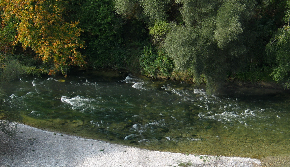 Wilde grüne Isar