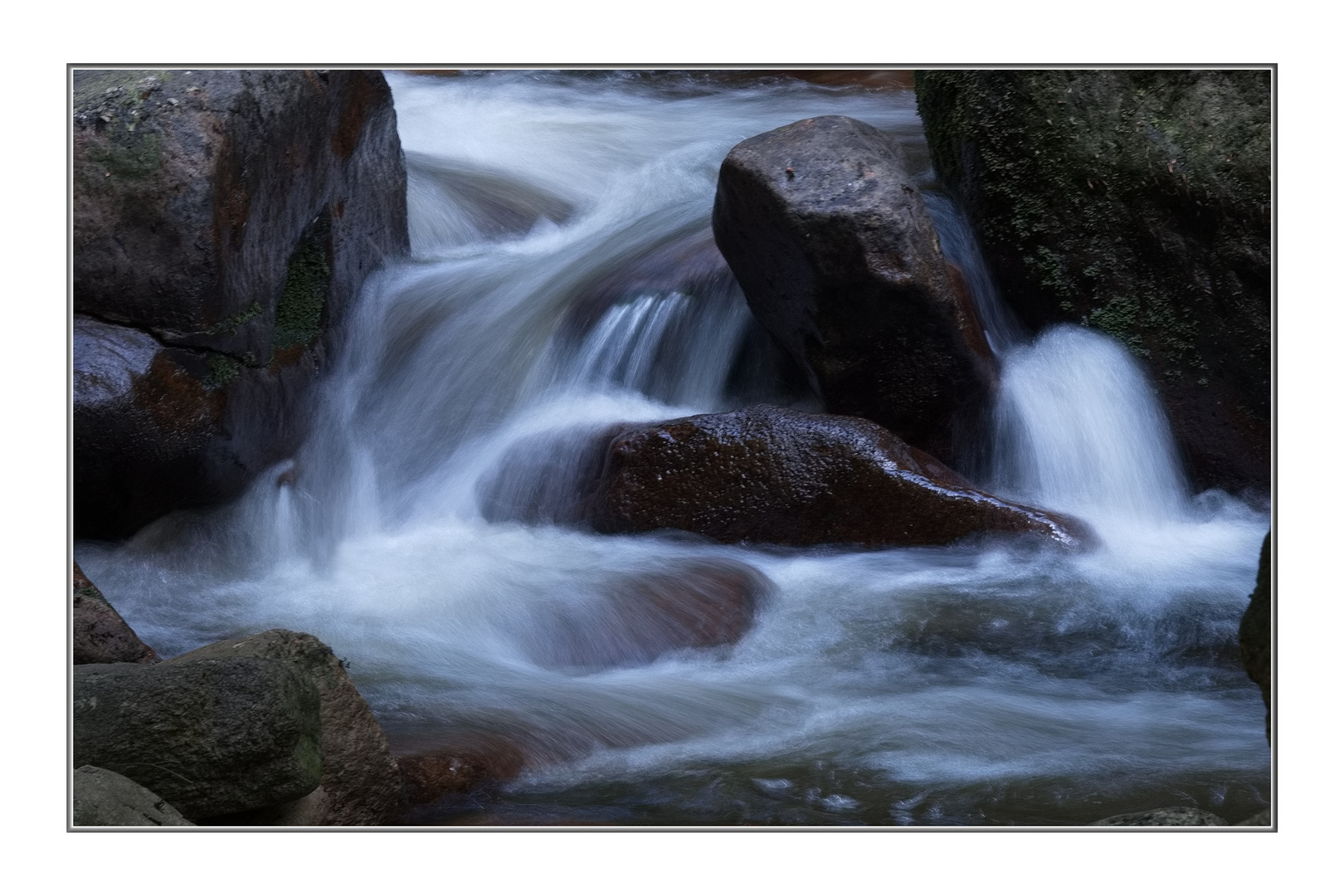 Wilde Ilse (THEMENTAG: Wasser)