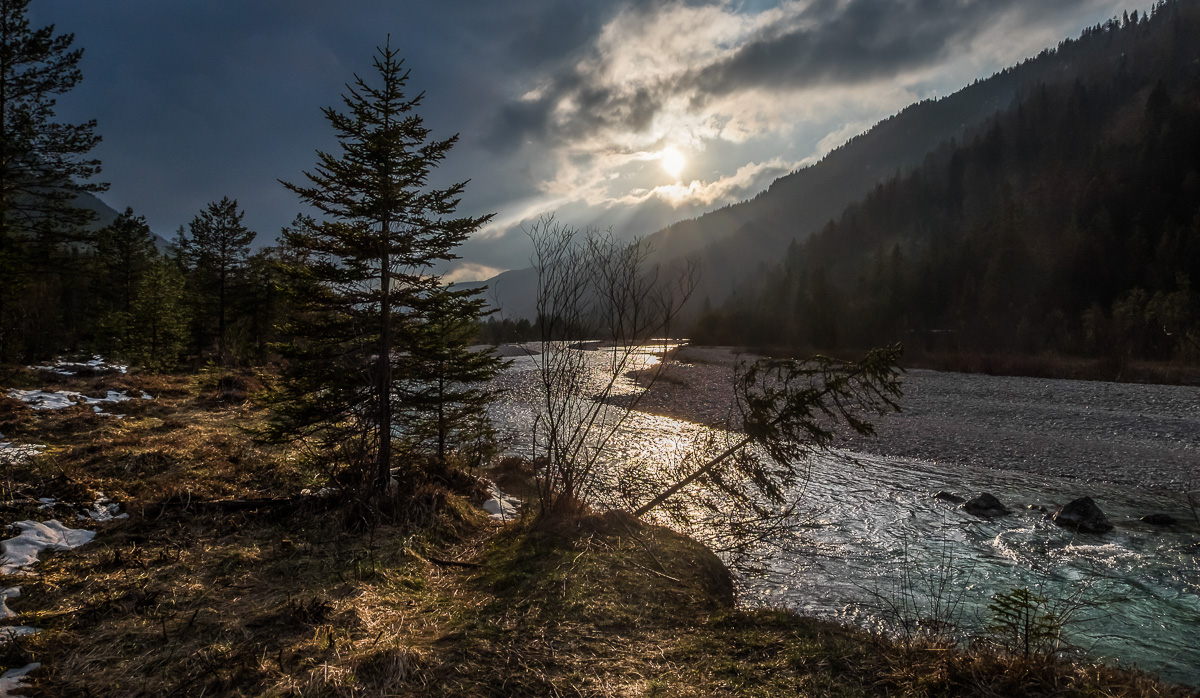 Wilde Isar