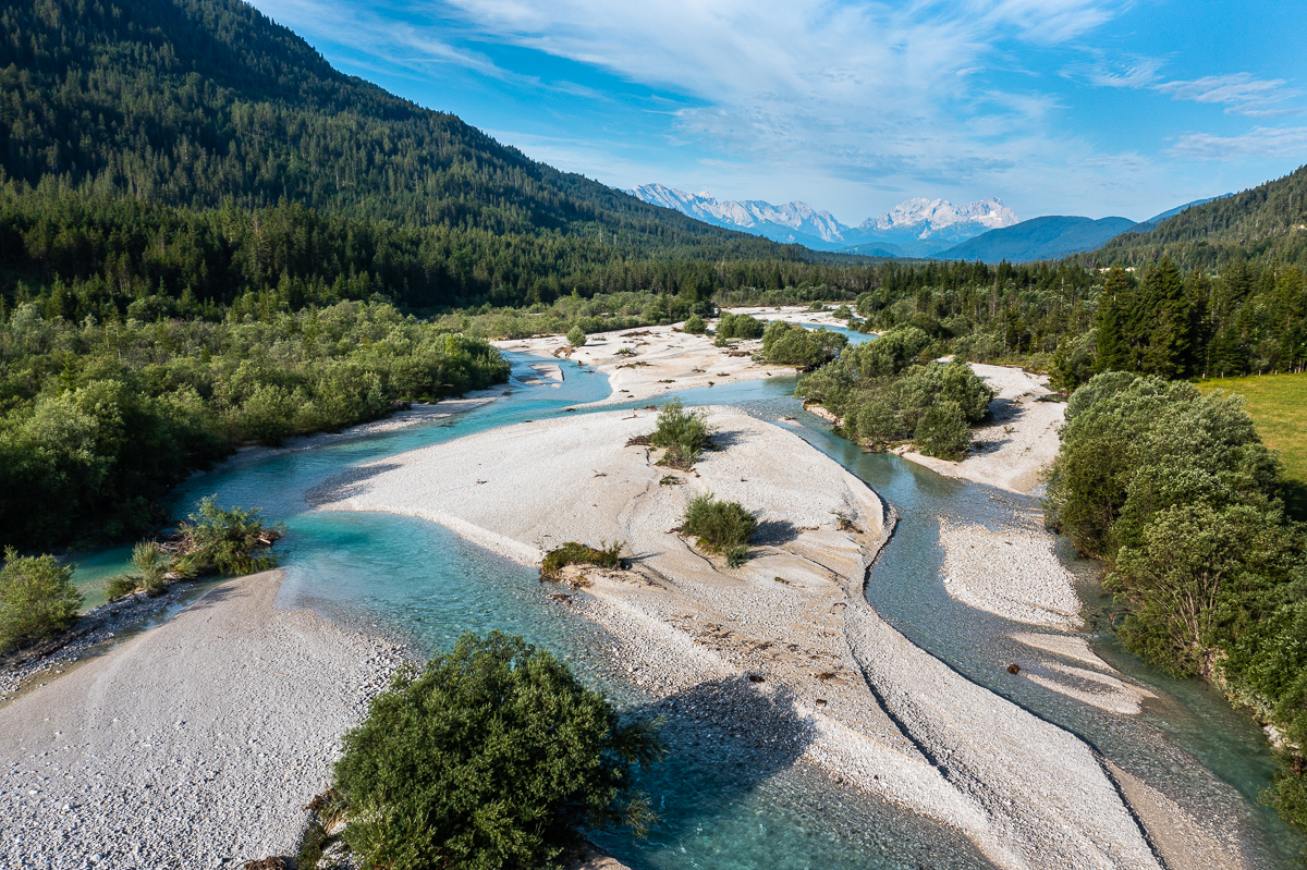 Wilde Isar