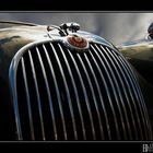 Wilde Katze - Jaguar XK150