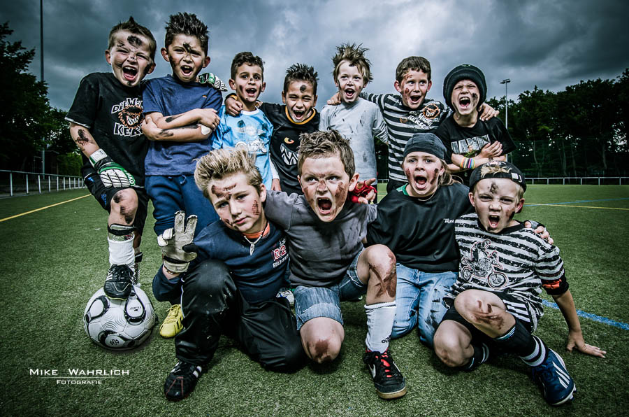 Status Lisensi GeminiPress Anda: Analisis Domain dan Masa Aktif