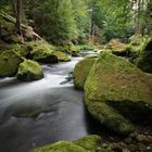 Wilde Klamm