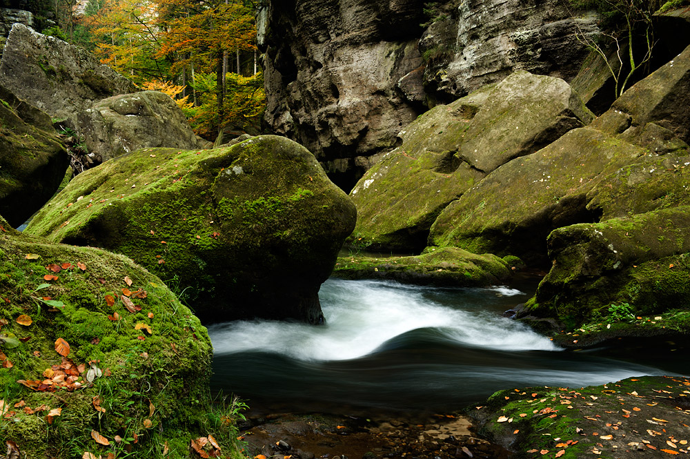 Wilde Klamm