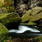 Wilde Klamm