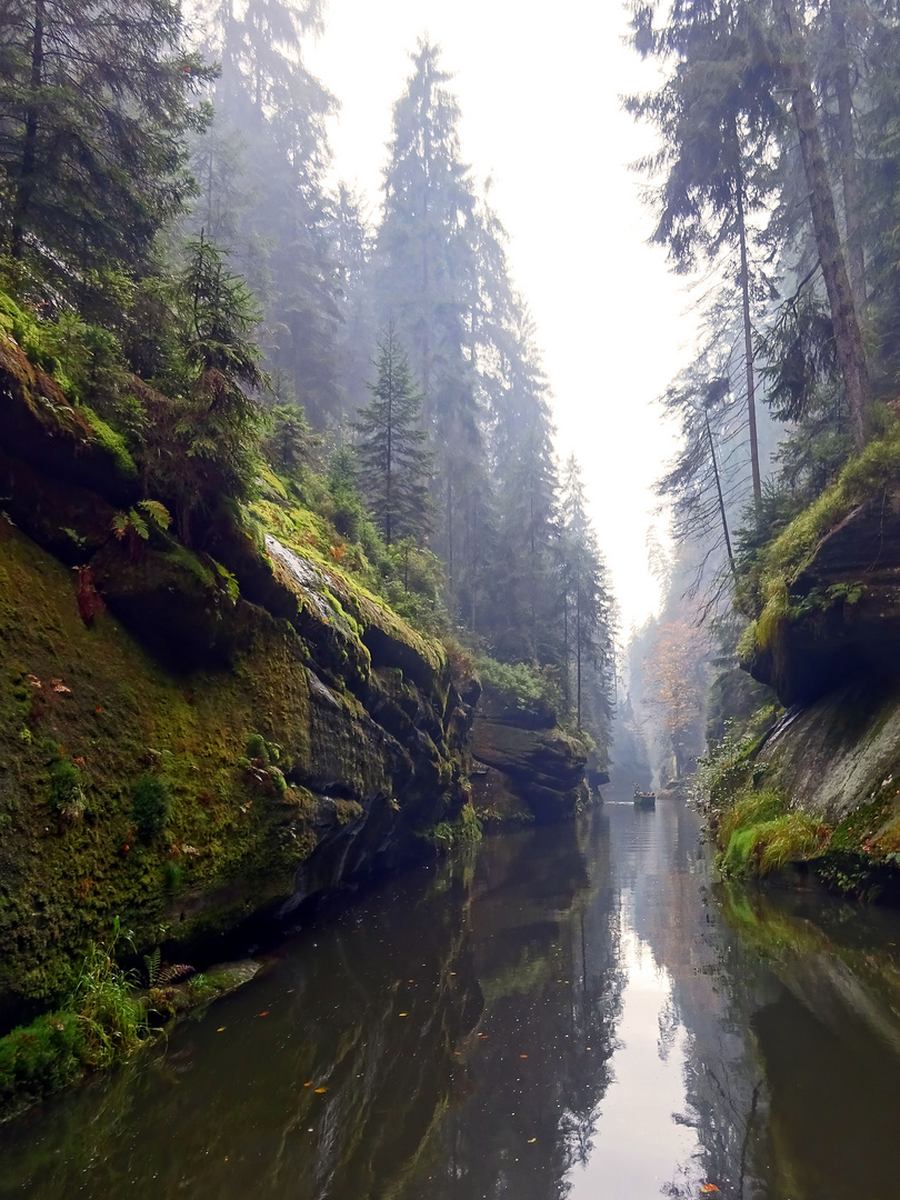 Wilde Klamm