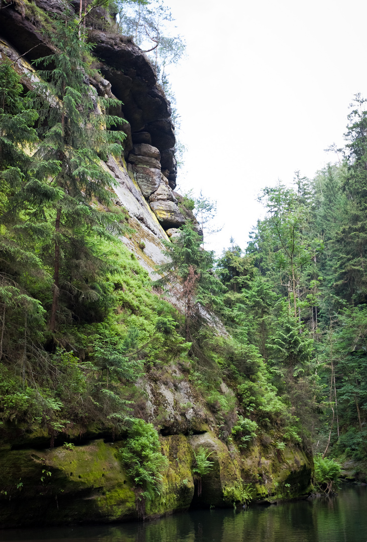 Wilde Klamm mit Flechten