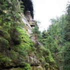 Wilde Klamm mit Flechten