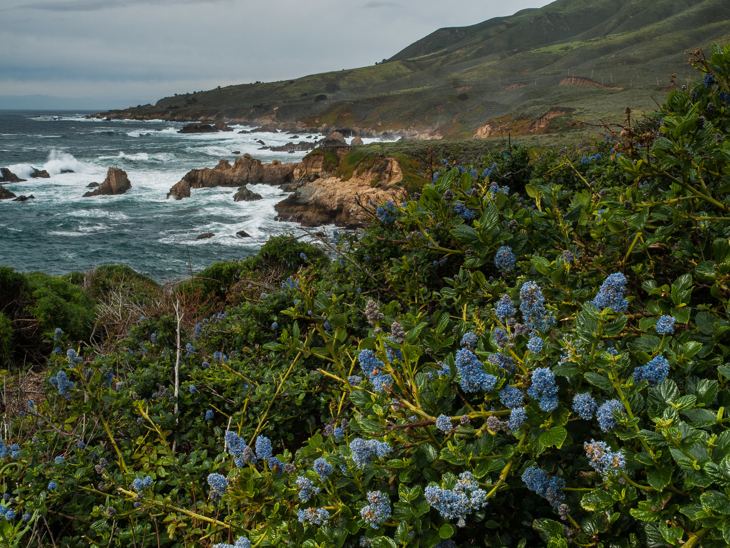 wilde Küste: Garrapata State Park