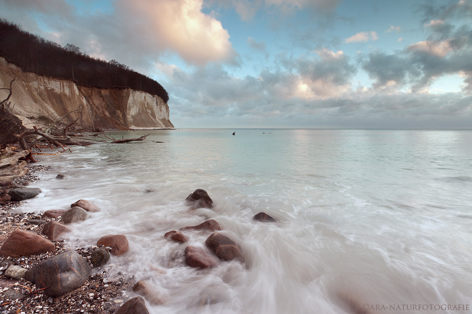 Wilde Küste - Rügen