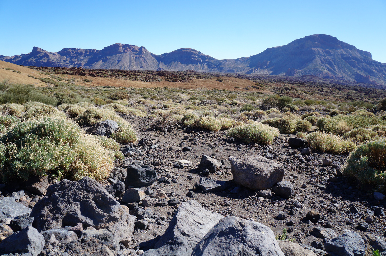 Wilde Landschaft