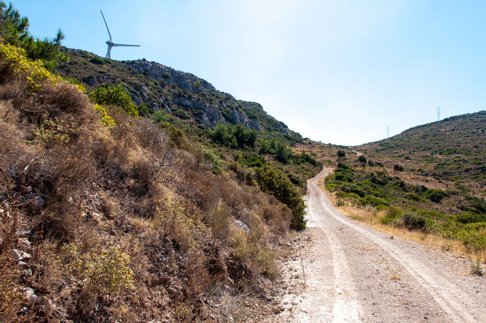 wilde Landschaft mit Windrädern