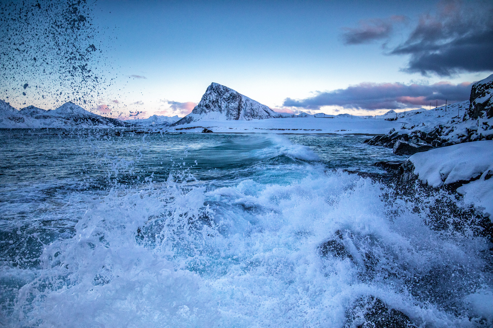 Wilde Lofoten