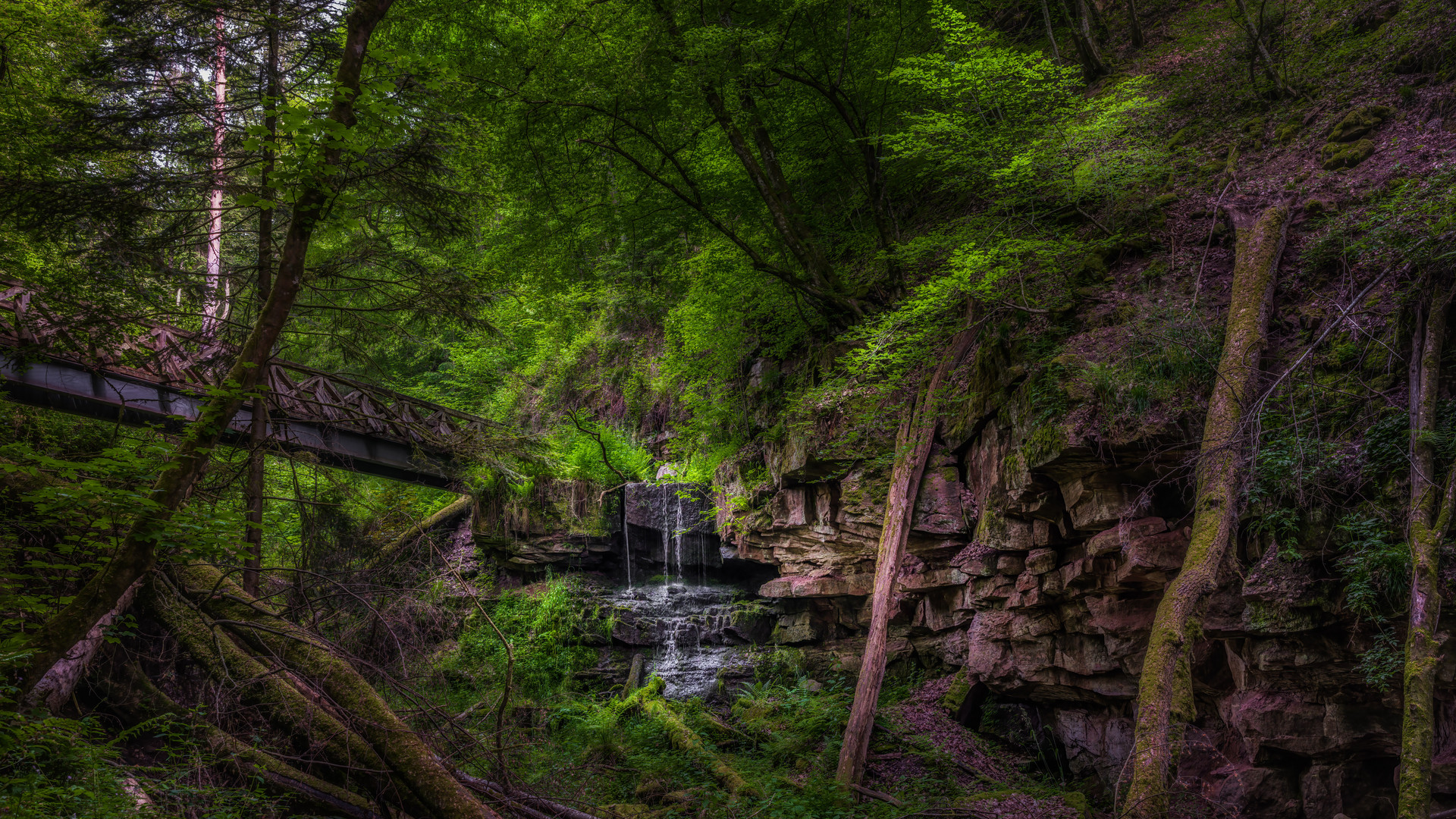 wilde Lützenschlucht