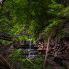 wilde Lützenschlucht