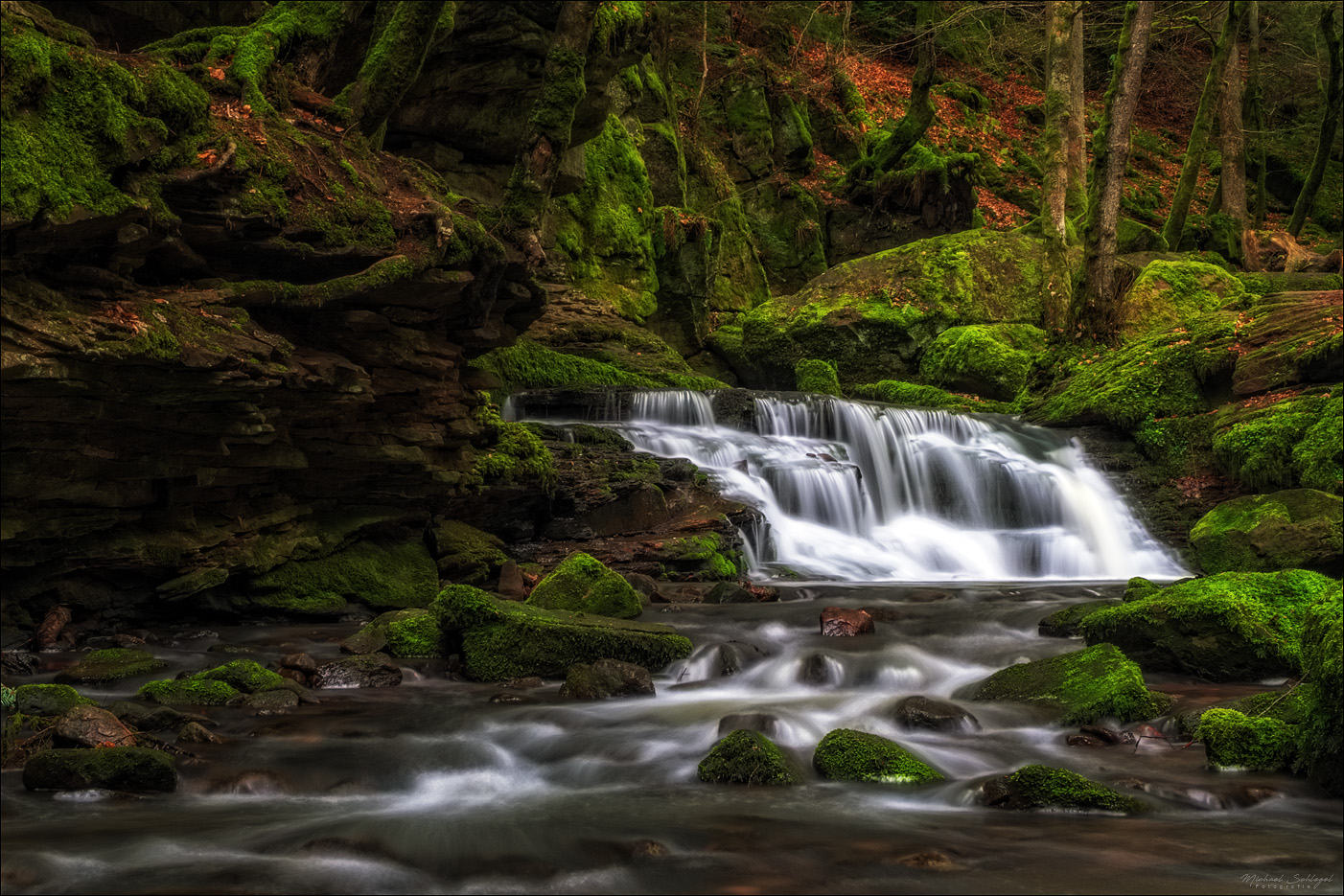 wilde Monbachschlucht