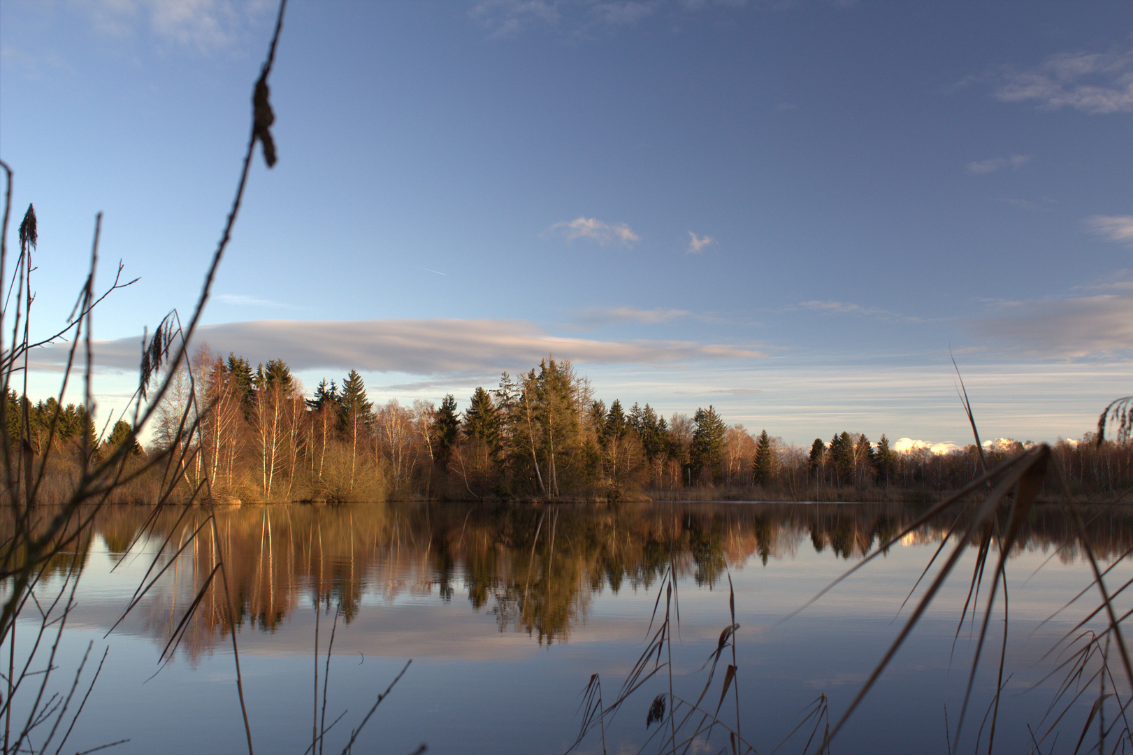 Wilde Moorlandschaft - Der Nillsee im Pfrunger-Burgweiler Ried