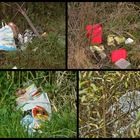 Wilde Müllkippen rund um die Seen . ( Wild garbage dumps round the lakes. )