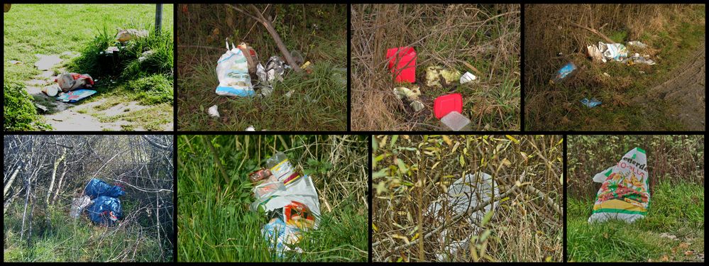 Wilde Müllkippen rund um die Seen . ( Wild garbage dumps round the lakes. )