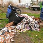 Wilde Müllverbrennung - verkokelter Altpapiercontainer in einem heruntergekommenen Hinterhof