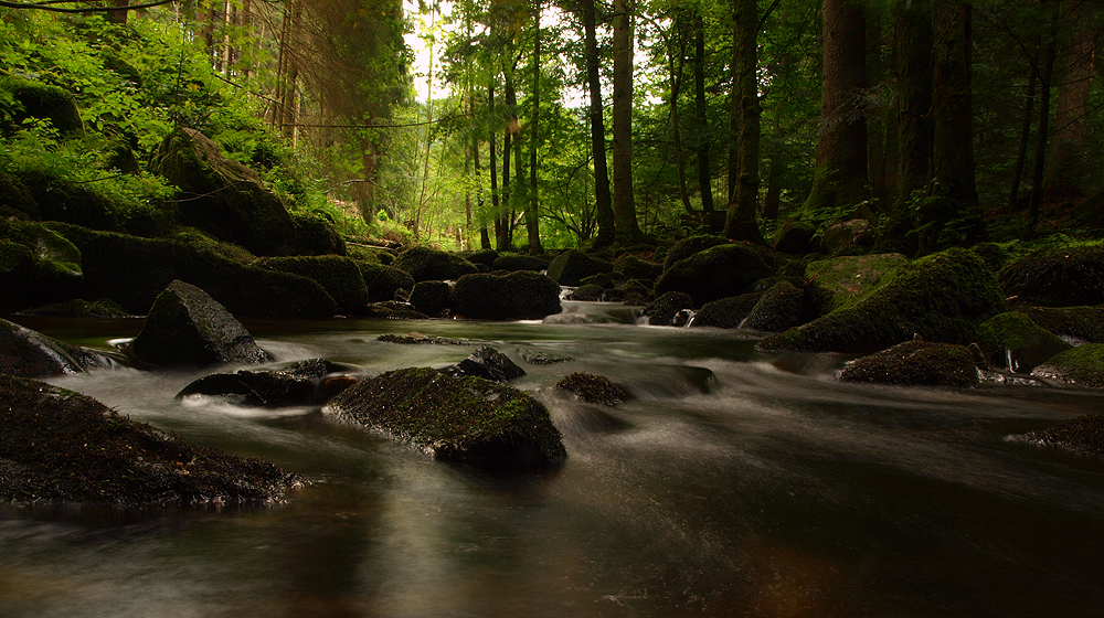 wilde Natur 2, Saußbachklamm