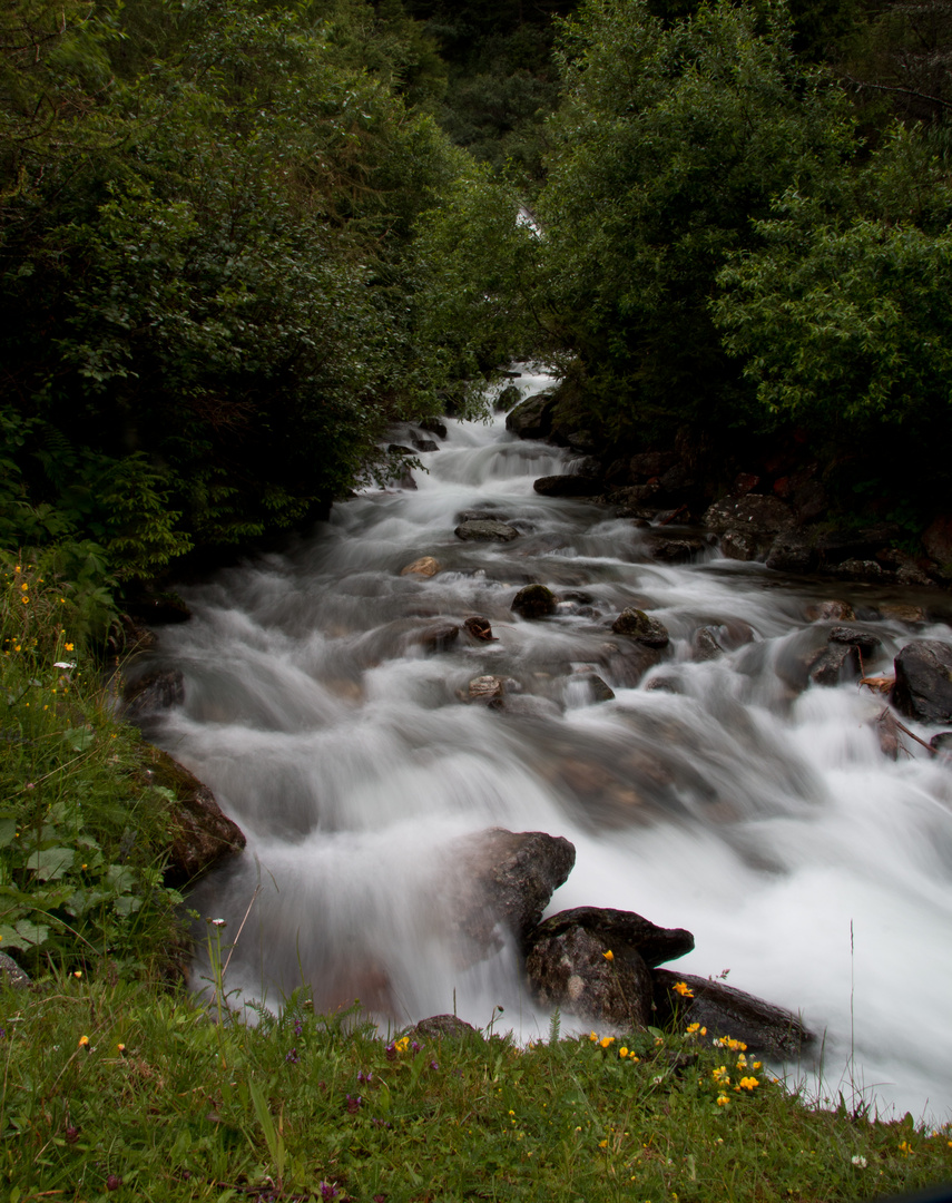 Wilde Natur