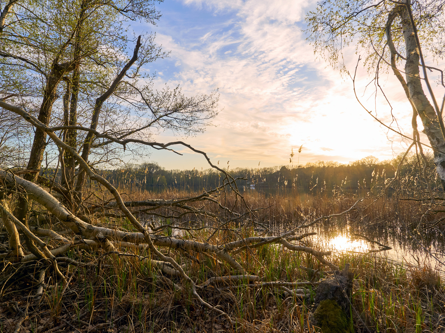 Wilde Natur