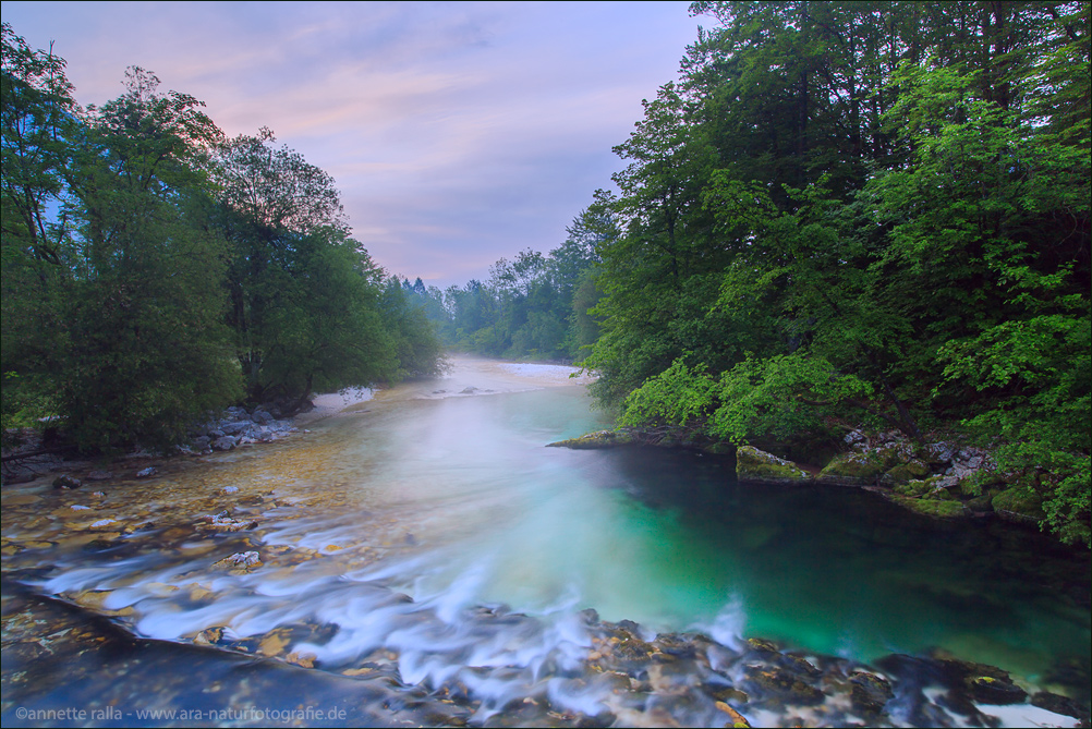 Wilde Natur - Slowenien Foto & Bild | wasser, grün, natur ...